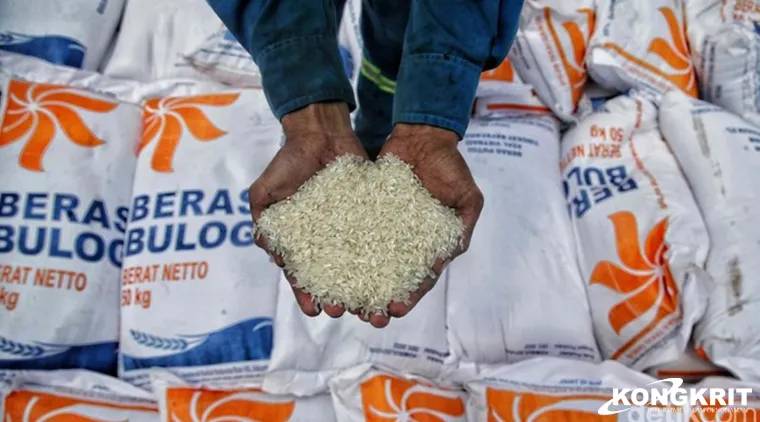 Bulog Catat Rekor Serapan Beras Nasional, Tertinggi dalam 23 Tahun Terakhir