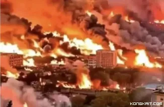 Kebakaran Hutan Terbesar Melanda Wilayah Yerusalem, Ribuan Dievakuasi dan Ratusan Hektare Lahan Terbakar