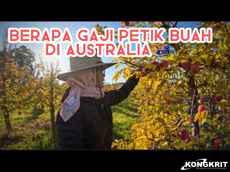 Ilustrasi petik buah.