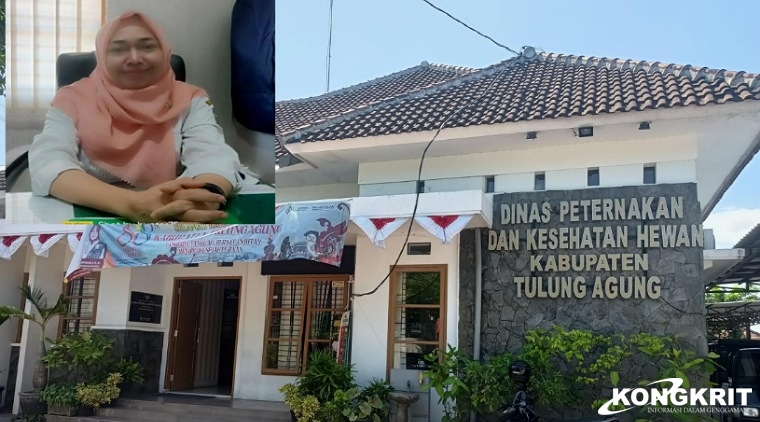 Keterangan foto: Kantor Disnakkeswan Kabupaten Tulungagung (Insert : Kabid Keswan drh. Tutus Sumaryani)