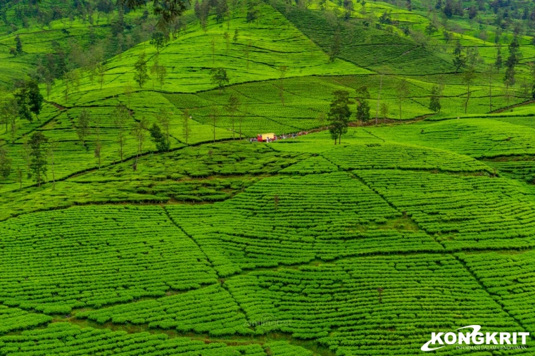 Gunung Cilik Kaliurip, Menyelinap dalam Pesona Alam yang Viral dan Menawan. (Foto : Dok. Istimewa)