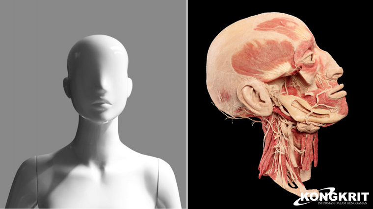 Kontroversi Penemuan Mayat di UNPRI Medan, Manekin atau Cadaver?