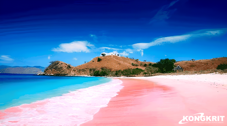 Liburan Romantis di Pantai Pink Lombok, Warna Pasir Tak Biasa dan Aktivitas Seru. (Foto : Dok. Istimewa)