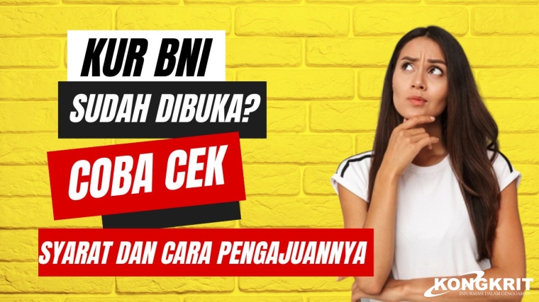 Ilustrasi Pinjaman KUR Bank BNI 2024