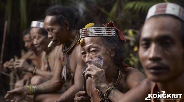 Sape, Harmoni Spiritual dalam Alunan Musik Tradisional Warga Dayak yang diajarkan Oleh Para Dewa. (Foto : Dok. Istimewa)