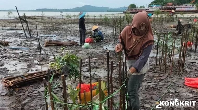 (Dok: PT Timah Tbk)