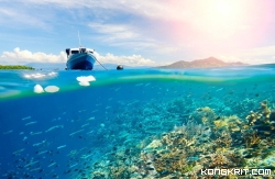 7 Spot Diving Terbaik di Bawah Laut Indonesia, Yuk Jelajahi Keindahan yang Memukau. (Foto : Dok. Istimewa)