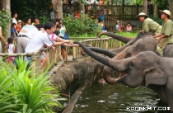 9 Destinasi Wisata Murah untuk Keluarga, Cocok Dikunjungi Bareng Si Kecil. (Foto : Dok. Istimewa)