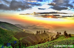 Desa Argosari di Kecamatan Senduro, Lumajang, Jawa Timur. Foto: Dok. Istimewa.