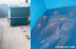 Geger di Unpri Medan, Kisah Tersembunyi di Balik Penemuan 5 Mayat, Apakah Ada Upaya Penyembunyian? Keanehan yang Tak Terduga Terungkap! (Foto : Dok. Istimewa)
