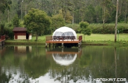Ini Rekomendasi 7 Hotel Tengah Hutan di Bandung: Staycation di Tengah Alam Dijami Bikin Rileks. (Foto : Dok. Istimewa)