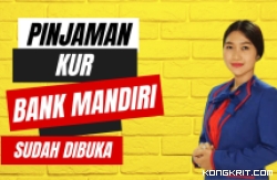 Ilustrasi Pinjaman KUR Bank Mandiri