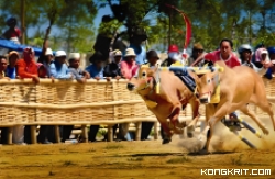 Kekayaan Tradisi Jawa Timur, Mengungkap Cerita Unik Seni Ketoprak, Karapan Sapi, dan Reog Ponorogo yang Membawa Makna Mendalam. (Foto : Dok. Istimewa)