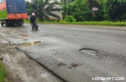 Kondisi jalan lintas Sumatera di Kabupaten Dharmasraya terlihat berlubang dan digenangi air. Foto: Dok. Istimewa.