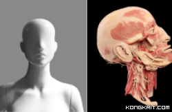 Kontroversi Penemuan Mayat di UNPRI Medan, Manekin atau Cadaver?
