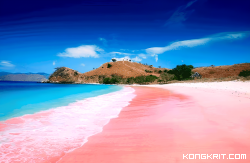 Liburan Romantis di Pantai Pink Lombok, Warna Pasir Tak Biasa dan Aktivitas Seru. (Foto : Dok. Istimewa)