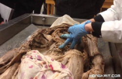 Mengenal Cadaver Sang  "Guru Besar" dalam Box di Parkiran UNPRI Medan (Foto : Dok. Istimewa)