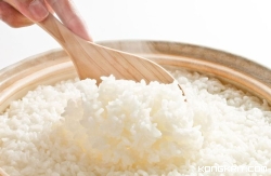 Nasi Putih dan Diabetes, Mitos dan Fakta yang Harus Sobat Ketahui! (Foto : Dok. Istimewa)