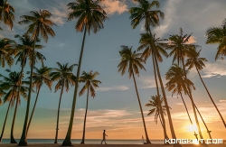 Rahasia Terungkap! Pantai-Pantai Tersembunyi di Jepara yang Bikin Kamu Pengen Liburan Terus! (Foto : Dok. Istimewa)