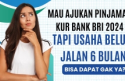 Ilustrasi Pinjaman KUR Bank BRI