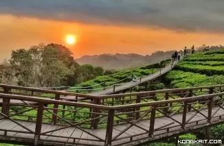 4 Destinasi Wisata Menarik di Jember, Jawa Timur (Foto : Dok,Istimewa)