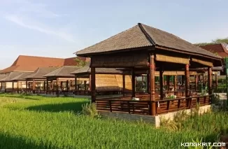 5 Wisata Hidden Cafe Instagramable di Bantul Jogja dengan View Sawah yang Syahdu Bener!! (Foto: Dok.Istimewa)
