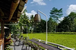 Langganan Para Artis dan Pejabat! Pawon Mbah Gito, Destinasi Wisata Kuliner Jogja dengan View Pedesaan yang Khas (Foto: Dok.Istimewa)