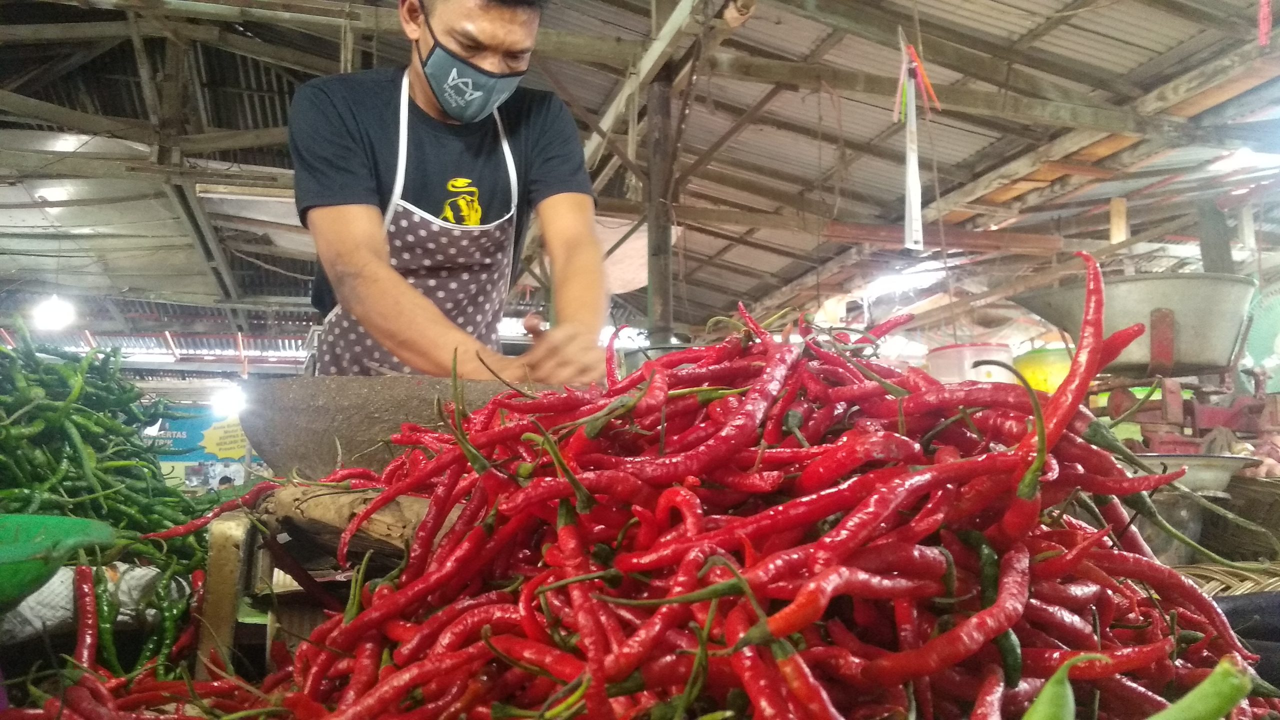 Pedagang cabai merah di Pasar Ulak Karang, Kota Padang, Sumatera Barat | Halonusa