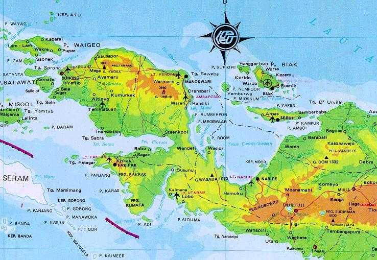 Daftar Kota dan Kabupaten di Pulau Papua