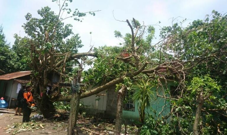 Salah satu rumah warga tertimpa pohon tumbang karena angin kencang disertai tingginya curah hujan di kota ini. | Int/halonusa | 