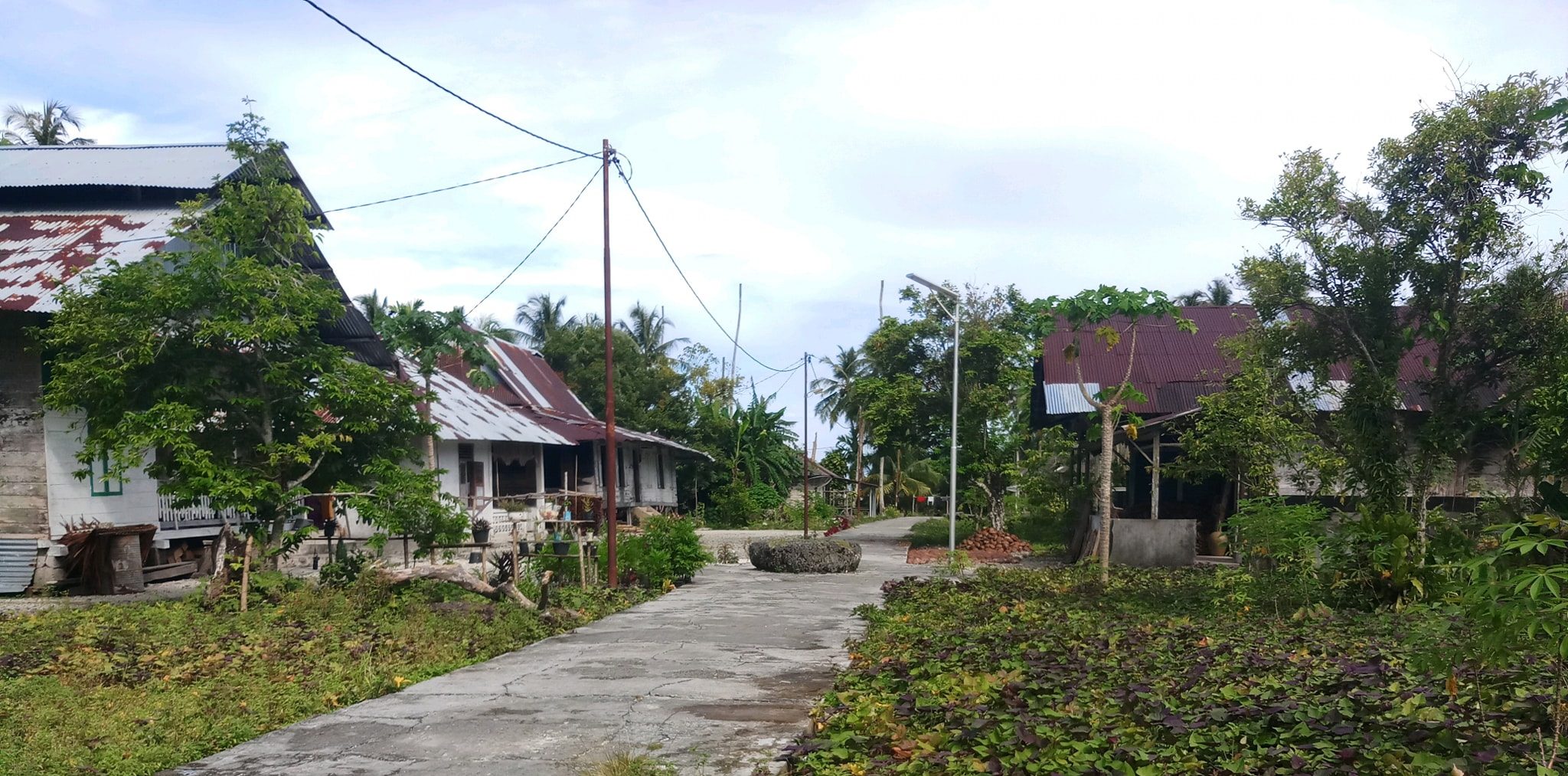Salah satu kondisi di Desa Hinako, Sirombu, Kabupaten Nias Barat, Sumatera Utara (Sumut). gempabumi mengguncang Nias Barat, Sumatra Utara (Sumut) Jumat (14/5/2021) pukul 13.33 WIB. Badan Meteorologi Klimatologi dan Geofisika (BMKG) memastikan gempa tak be