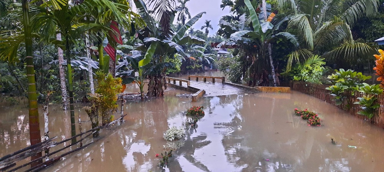 Salah satu kawasan terdampak banjir di Pulau Siberut, Kabupaten Kepulauan Mentawai. (Foto: Dok. Istimewa)