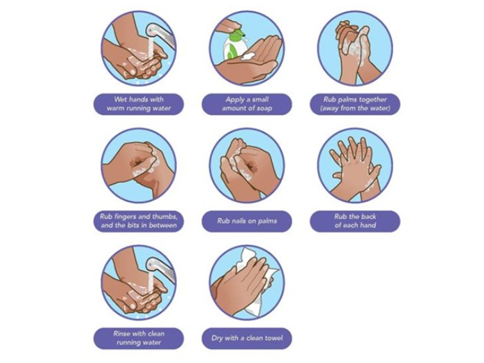 Wajib Tahu! Panduan Cara Mencuci Tangan yang Baik dan Benar