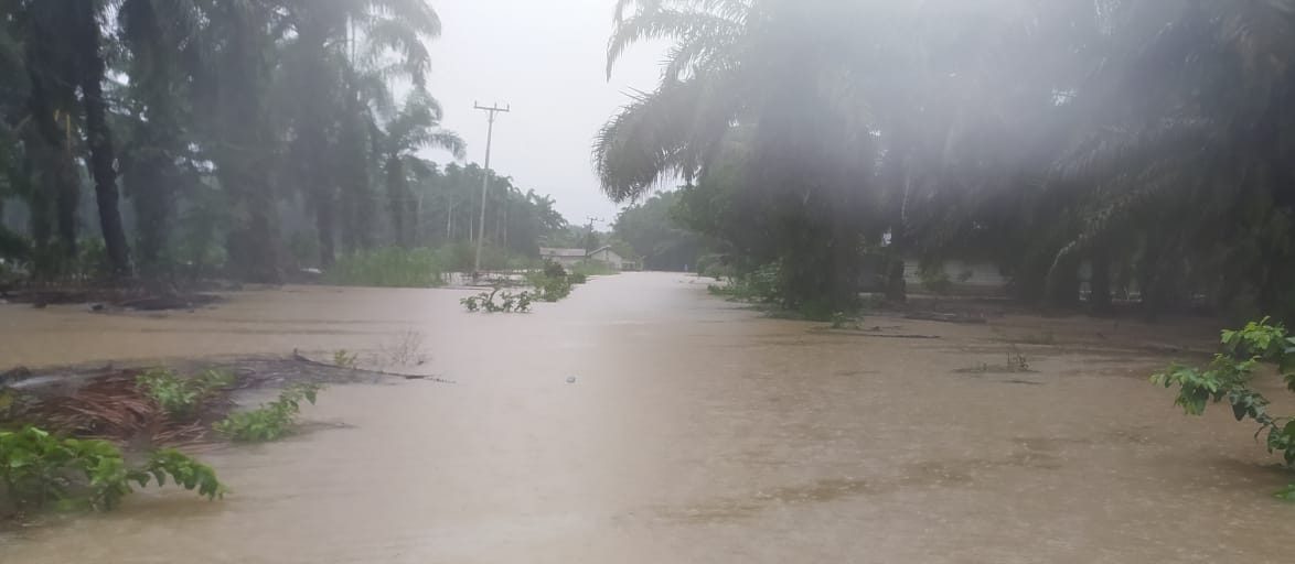 Salah satu kawasan terdampak banjir di Pesisir Selatan. (Foto: Dok. Istimewa)