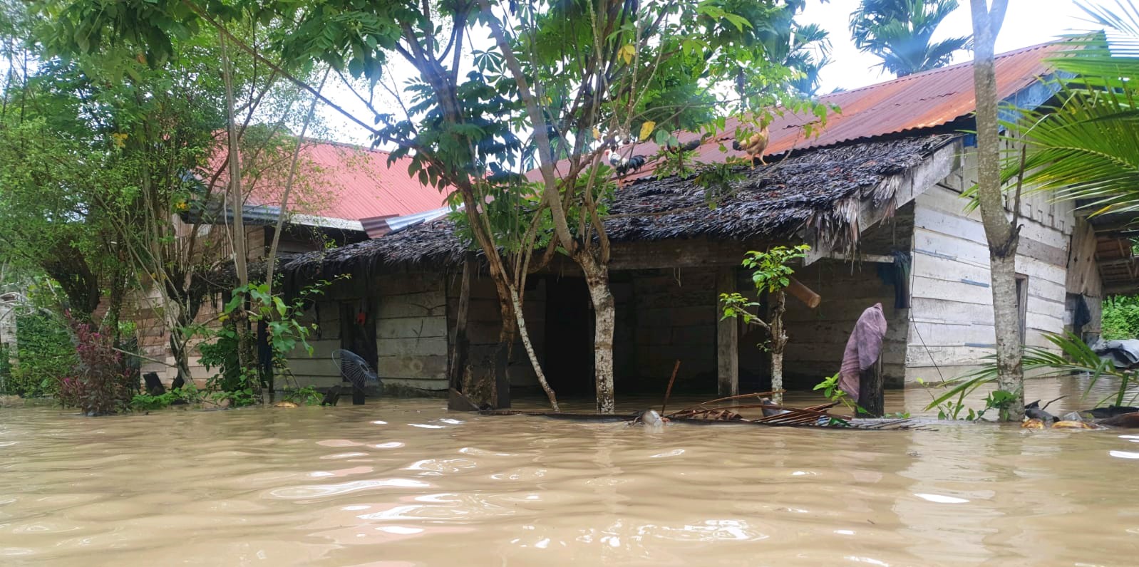 Badan Penanggulangan Bencana Daerah mencatat 34 ribu orang mengungsi dan 1.111 rumah terendam banjir. Banjir yang terjadi sejak Kamis (30/12/2021) itu belum surut hingga Rabu (5/1/2022). (Foto: Dok. BPBA)