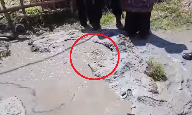 Fenomena air panas berlumpur keluar dari dalam tanah terjadi di Bonjol, Kabupaten Pasaman, Sumatera Barat (Sumbar). (Foto: Tangkapan layar video viral)