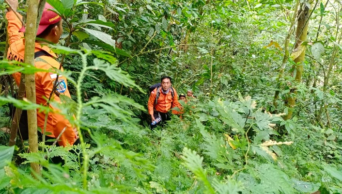 Pencarian kakek Sulaiman yang hilang dalam hutan. (Foto: Dok. Basarnas)