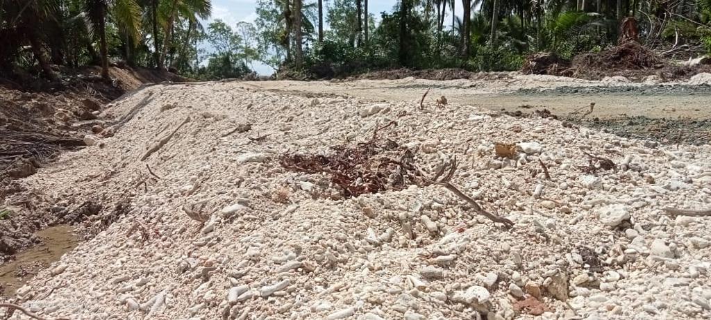 Demi membangun logpond kayu, ratusan terumbu karang (coral reef) di Pantai Polimo, Desa Sikabu, Kecamatan Pagai Utara, Kepulauan Mentawai hancur. (Formma Sumbar/Halonusa)