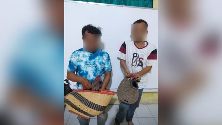 Dua dari empat pelaku judi sabung ayam yang ditangkap di kawasan Anak Air Padang. (Foto: Dok. Polsek Koto Tangah)