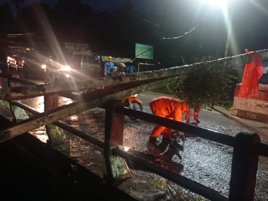 Pohon tumbang menutup akses jalan dan menimpa tiang listrik di kawasan Kuranji. (Foto: Dok. BPBD Padang)