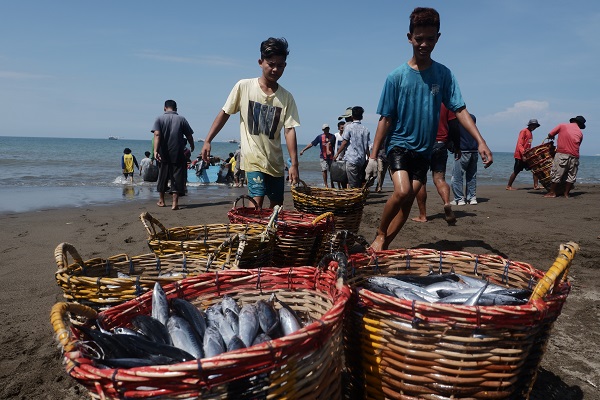 Nelayan mengangkut ikan yang sudah ditangkap di Kota Padang (Foto : Halbert Caniago)