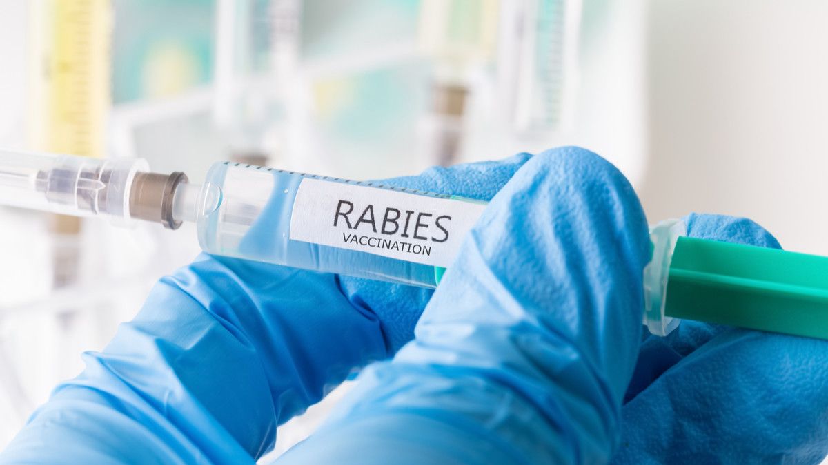 ilustrasi vaksin rabies