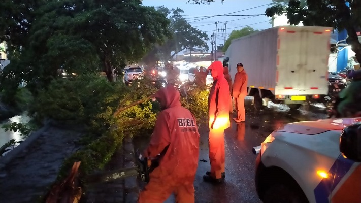 Petugas memotong pohon tumbang di Jati, Kecamatan Padang Timur, Kota Padang pada Rabu (29/6/2022) malam. (Foto: Dok. BPBD Padang)