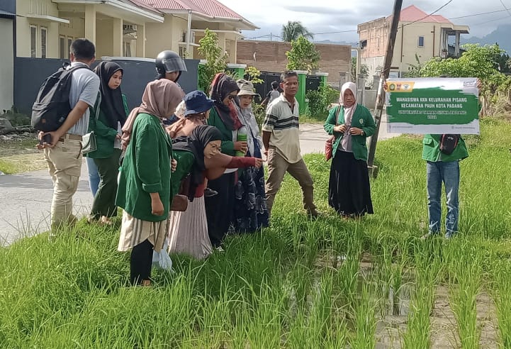 Bantu Basmi Hama, Mahasiswa KKN di Padang Racik Pestisida Sederhana
