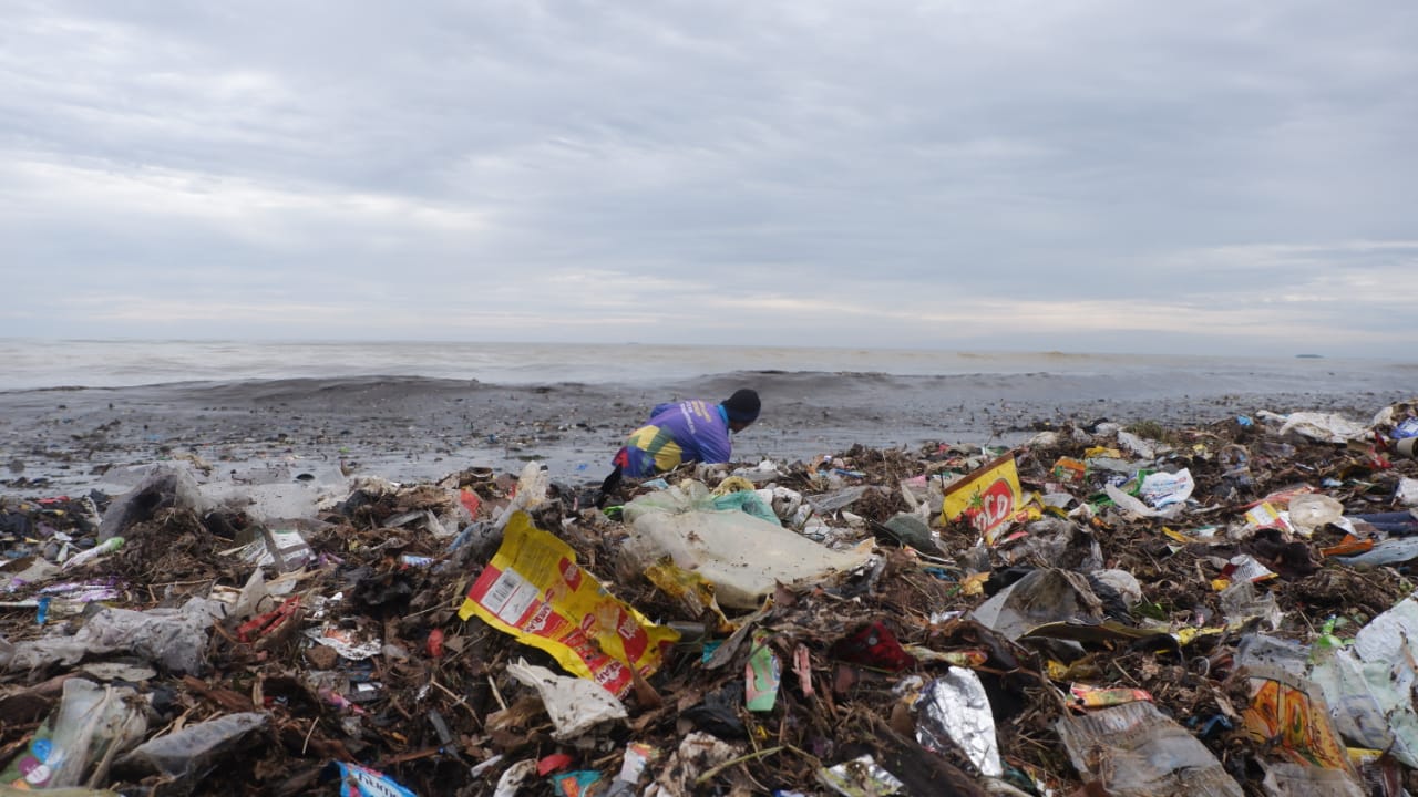 Ilustrasi: Seorang mengumpulkan sampah di Pantai padang