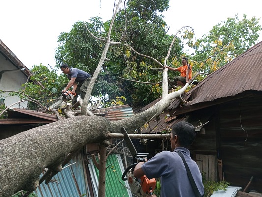 Petugas memotong pohon tumbang yang menimpa rumah warga. (Foto: Istimewa/Pusdalops PB BPBD Padang)