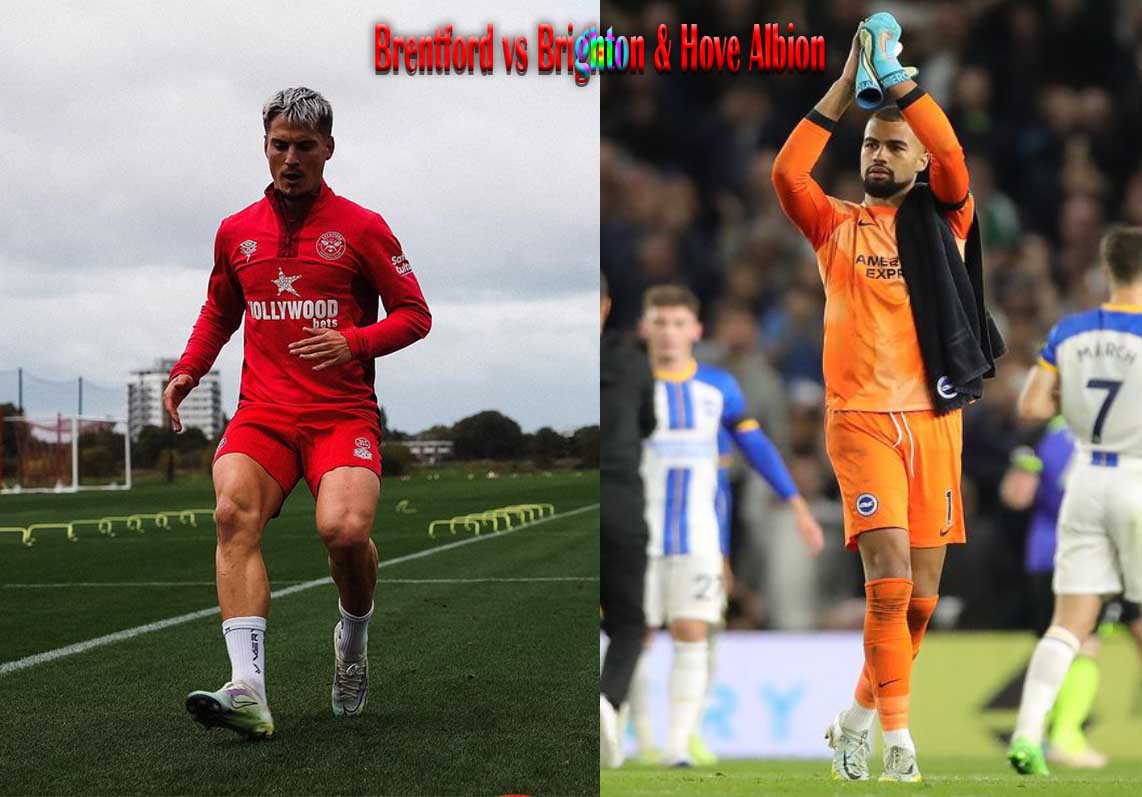 Brentford vs Brighton &amp; Hove Albion