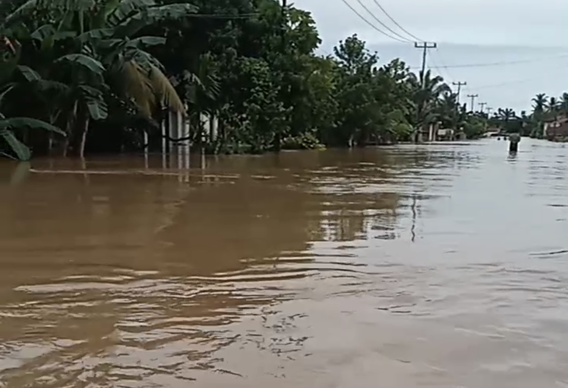4 Kecamatan di Pesisir Selatan Terendam Banjir, Puluhan Hektar Lahan Pertanian Terdampak