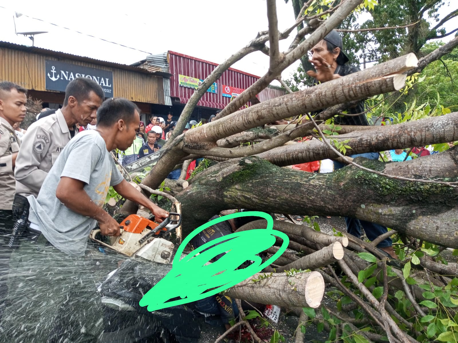 BPBD Kota Padang dibantu warga melakukan evakuasi pohon tumbang (Foto: BPBD Padang)