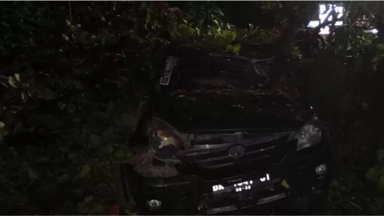 Satu unit mobil tertimpa pohon tumbang di Padang. (Foto: Istimewa)